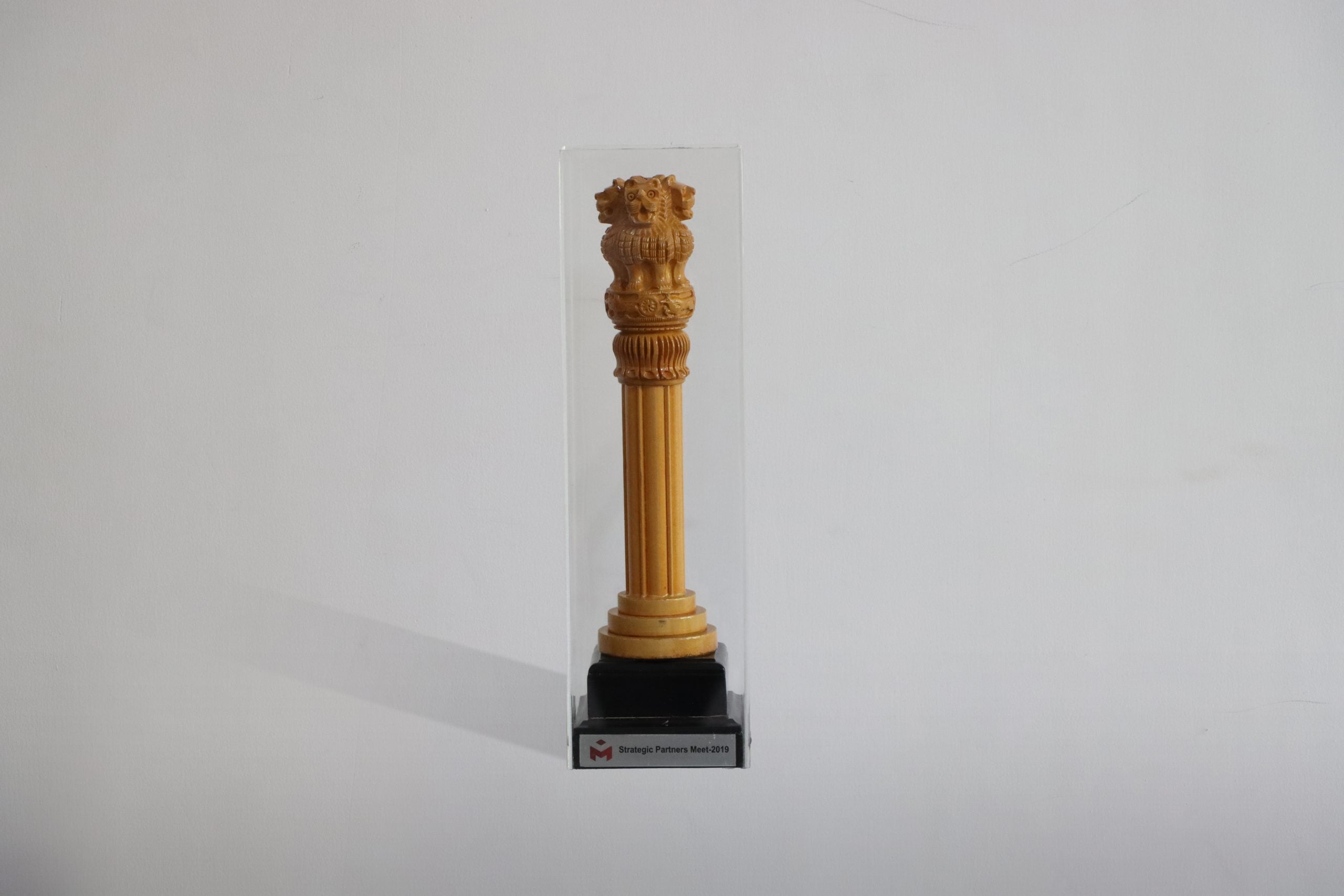 Strategic Partner Meet Award